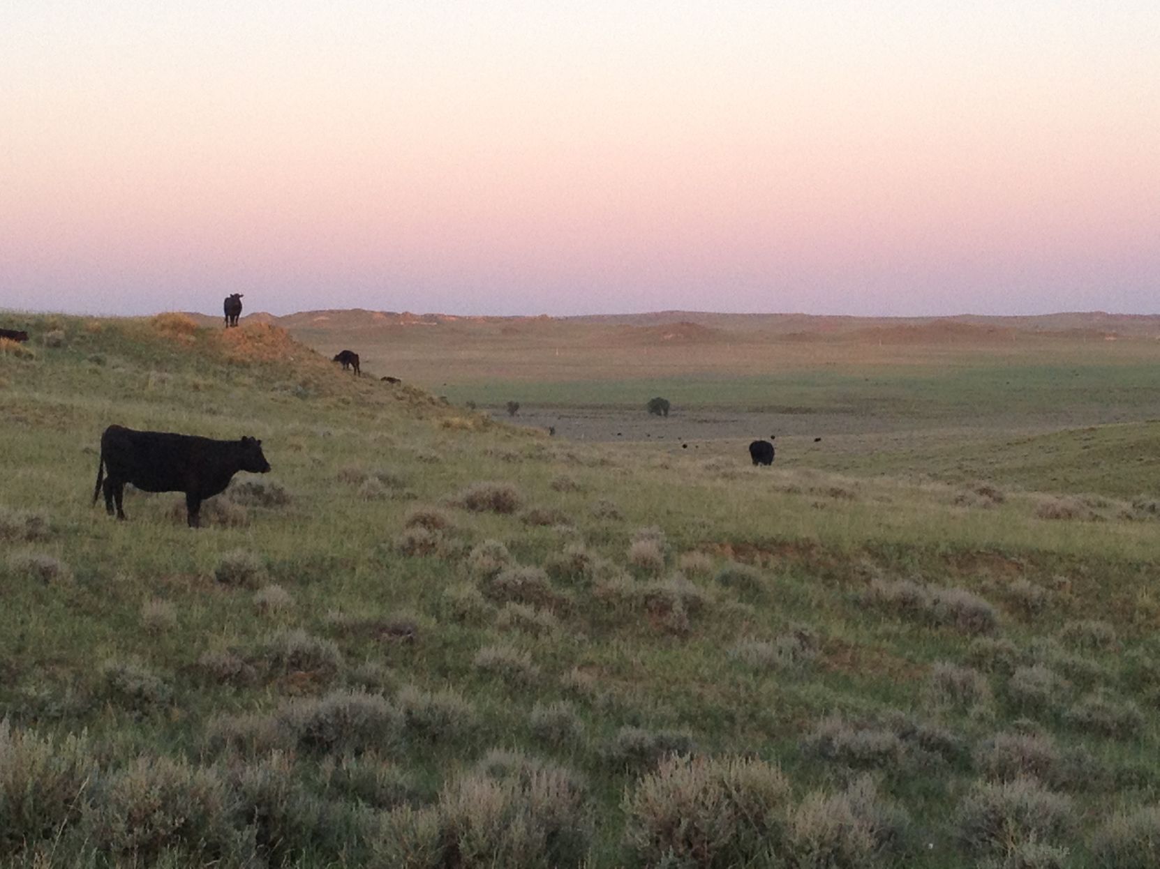 Cross Four Ranch, Miles City